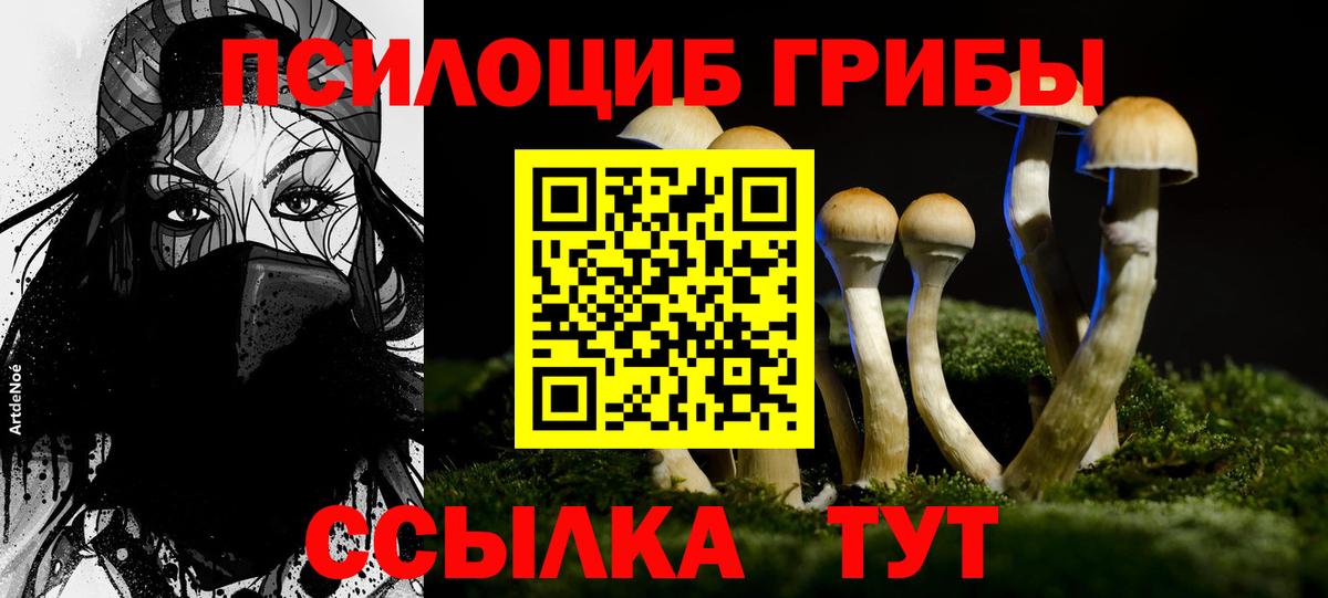 Псилоцибиновые грибы Cubensis  Псилоцибиновые грибы ЛСД  даркнет сайт  Вход с VPN  Лосино-Петровский 